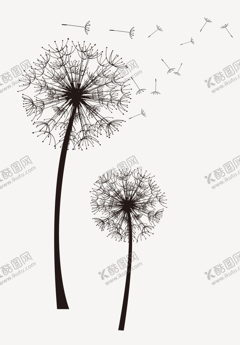 编号：85333907131833001172【酷图网】源文件下载-蒲公英