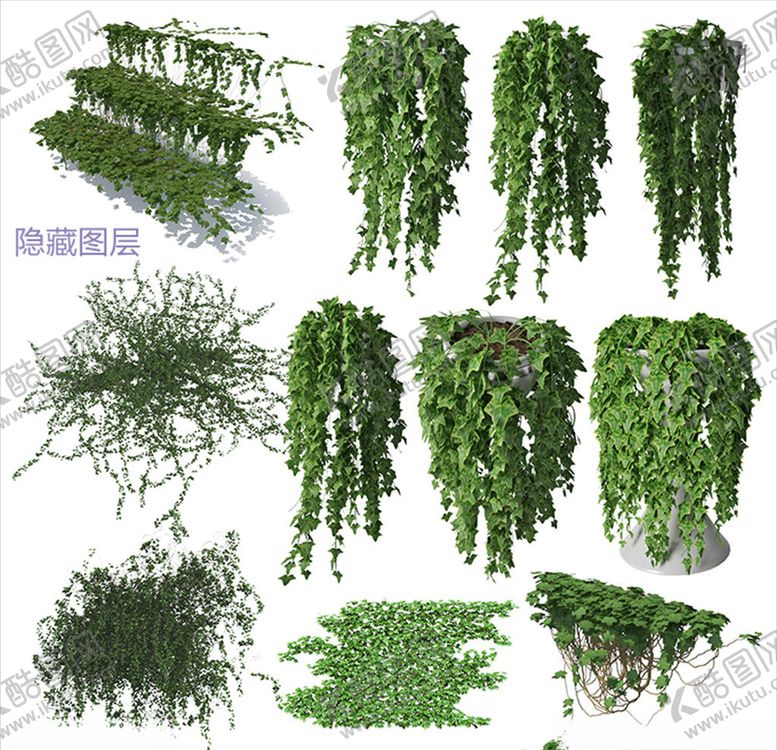 编号：20216306290916003532【酷图网】源文件下载-攀爬植物