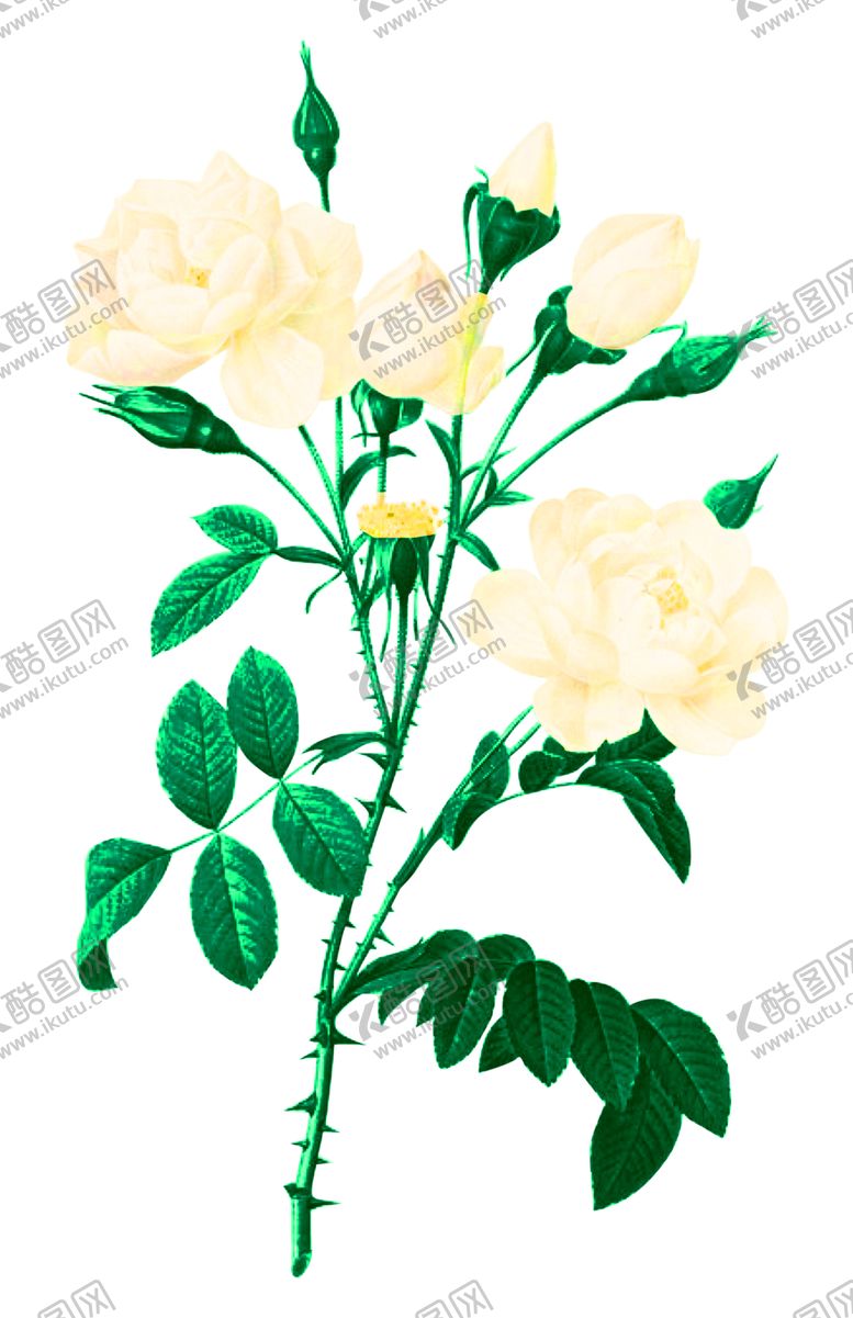 编号：32066409090638214048【酷图网】源文件下载-浪漫素材