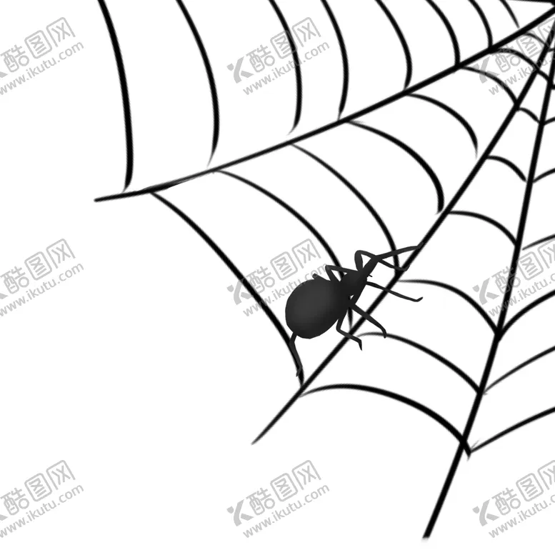 编号：51155204231821593081【酷图网】源文件下载-蜘蛛网上的蜘蛛插画