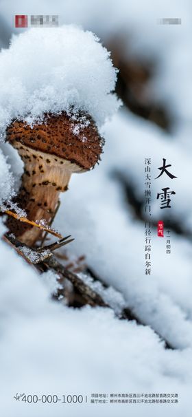 大雪节气