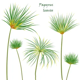 叶子芭蕉素材热带手绘花卉