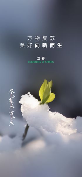 节气立春发芽立春质感立春