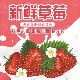新鲜草莓
