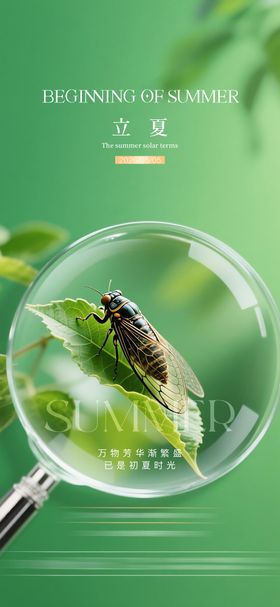 立夏质感节气海报