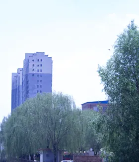 楼房