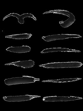 笔刷毛笔设计素材溅墨