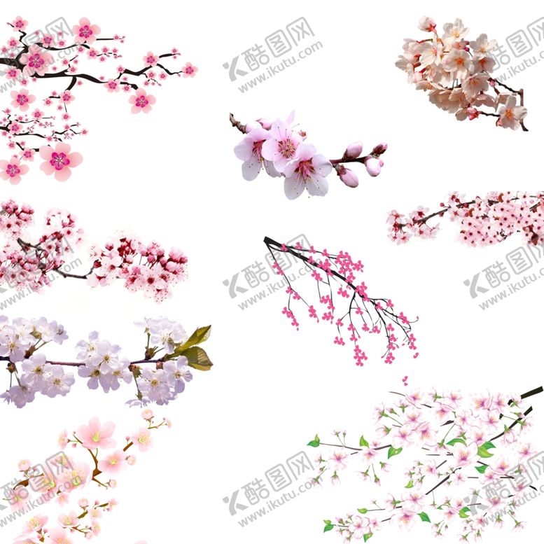 编号：60179710211059518115【酷图网】源文件下载-樱花png