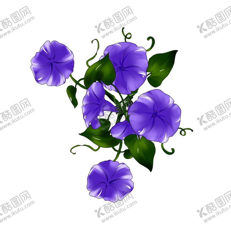 编号：57580404170433526354【酷图网】源文件下载-紫色牵牛花插画
