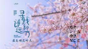 寻找远方