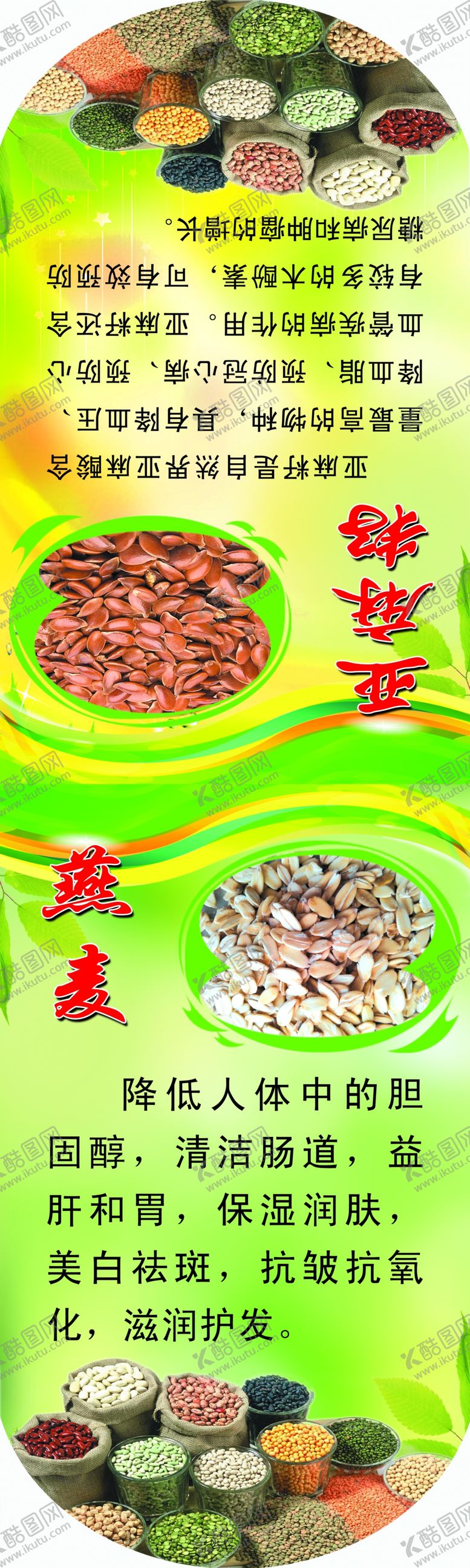 编号：86614409172011537920【酷图网】源文件下载-养生吊旗