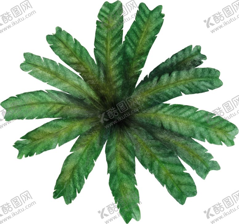 编号：28198610311252262958【酷图网】源文件下载-手绘植物