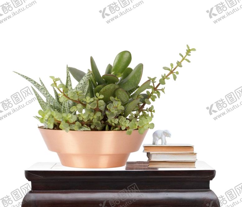 编号：94775909280719173516【酷图网】源文件下载-花艺