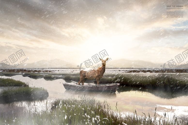 编号：95188709230212029651【酷图网】源文件下载-保护野生动物