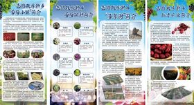 葡萄宣传页展示