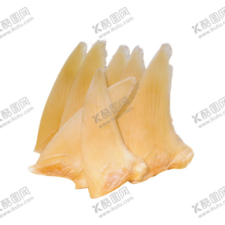 编号：69413509250349152456【酷图网】源文件下载-鱼翅
