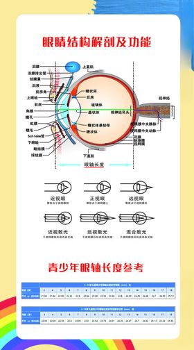 眼镜店眼睛的结构展板