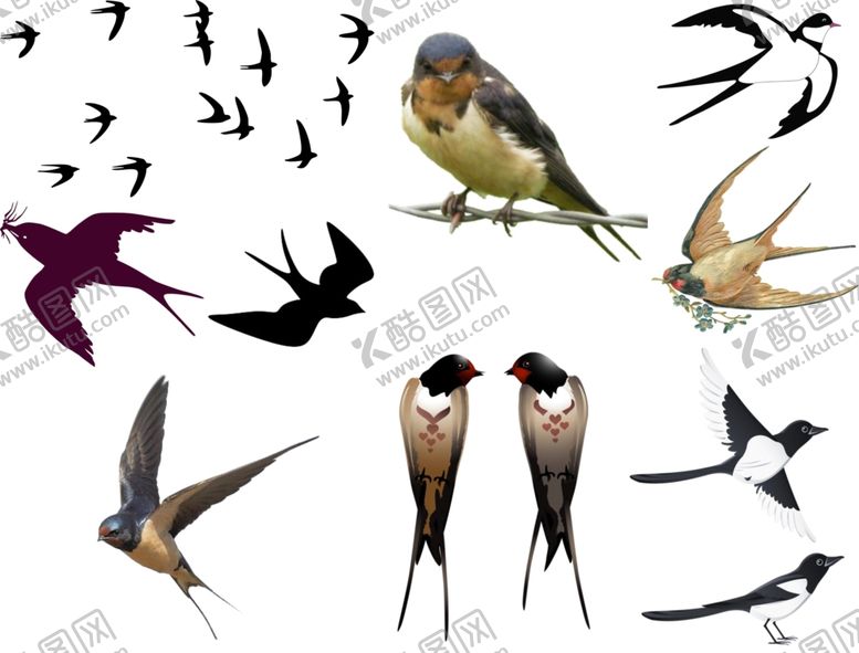 编号：29016509191743213104【酷图网】源文件下载-燕子png免扣高清素材