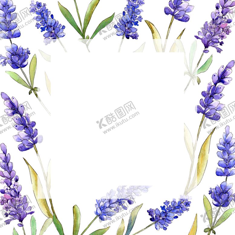 编号：81914806291110494827【酷图网】源文件下载-薰衣草边框