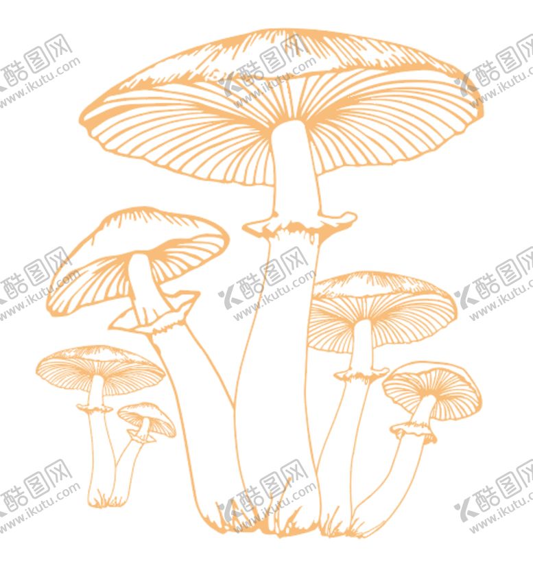 编号：40254401151206139867【酷图网】源文件下载-菌菇