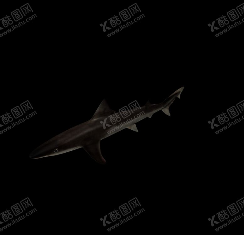 编号：72415809291055314593【酷图网】源文件下载-海洋生物