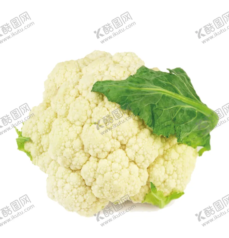 编号：88505807020349382412【酷图网】源文件下载-蔬菜素材