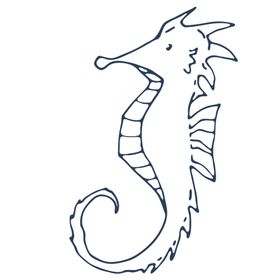 手绘海洋生物