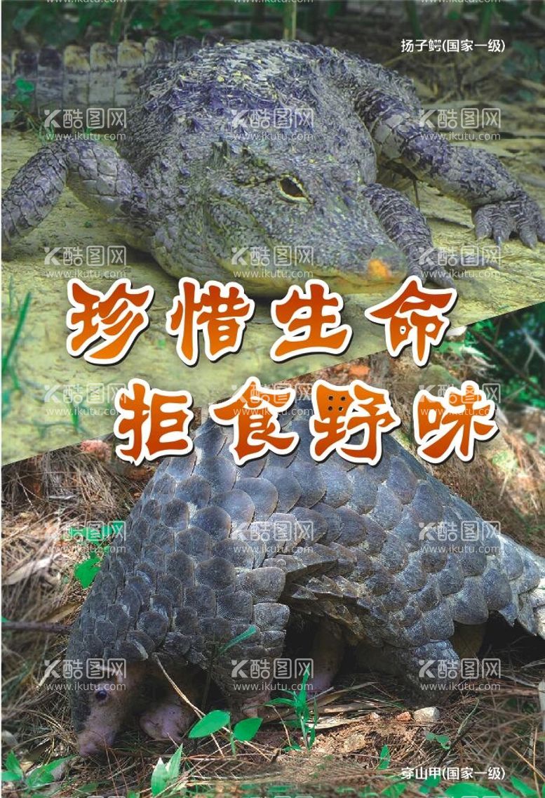 编号：57153101201947351666【酷图网】源文件下载-保护野生动物