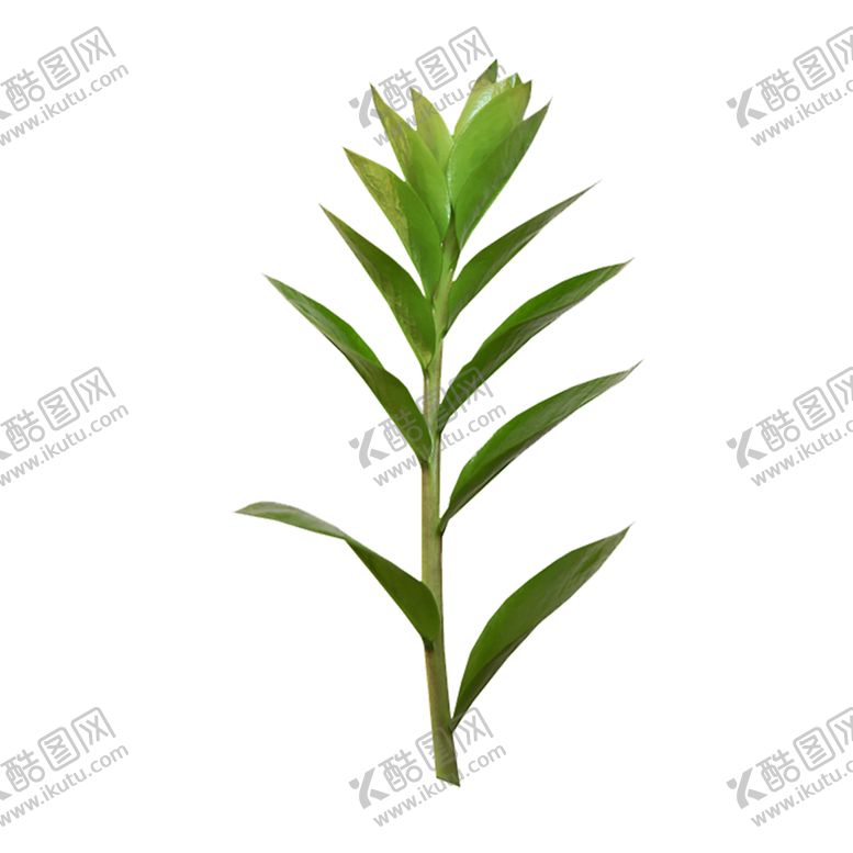 编号：78427110021223084519【酷图网】源文件下载-绿色植物
