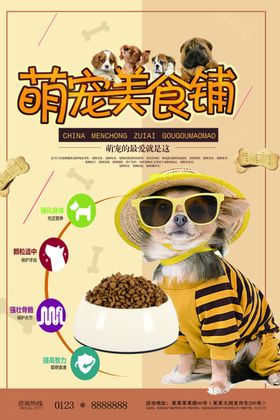 宠物店海报