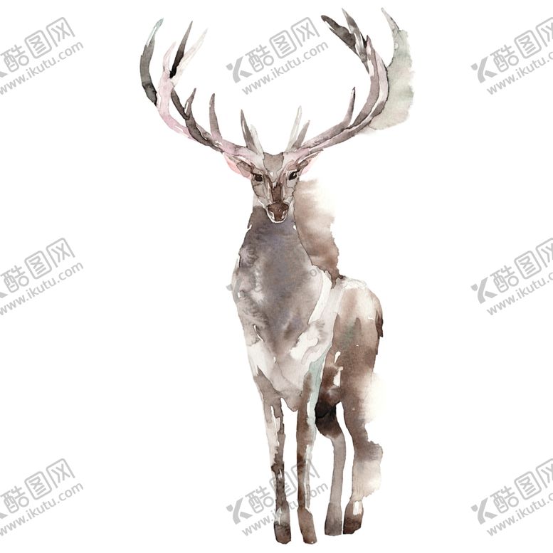 编号：24417802032003017500【酷图网】源文件下载-鹿