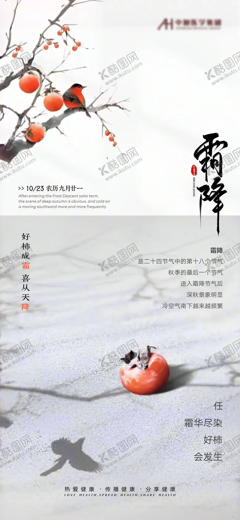 编号：28138612041923365749【酷图网】源文件下载-霜降海报
