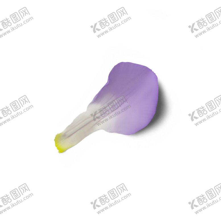 编号：78066410221418499602【酷图网】源文件下载-花瓣
