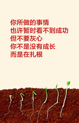 挂图