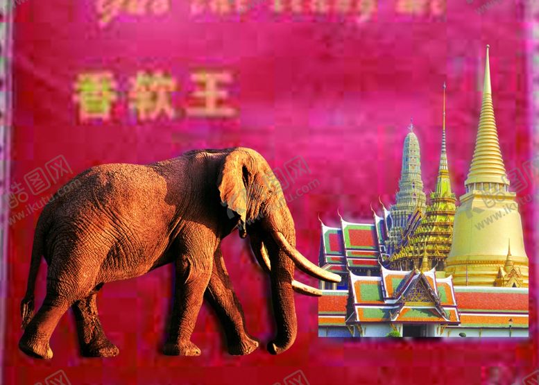 编号：46776810121424223126【酷图网】源文件下载-大米