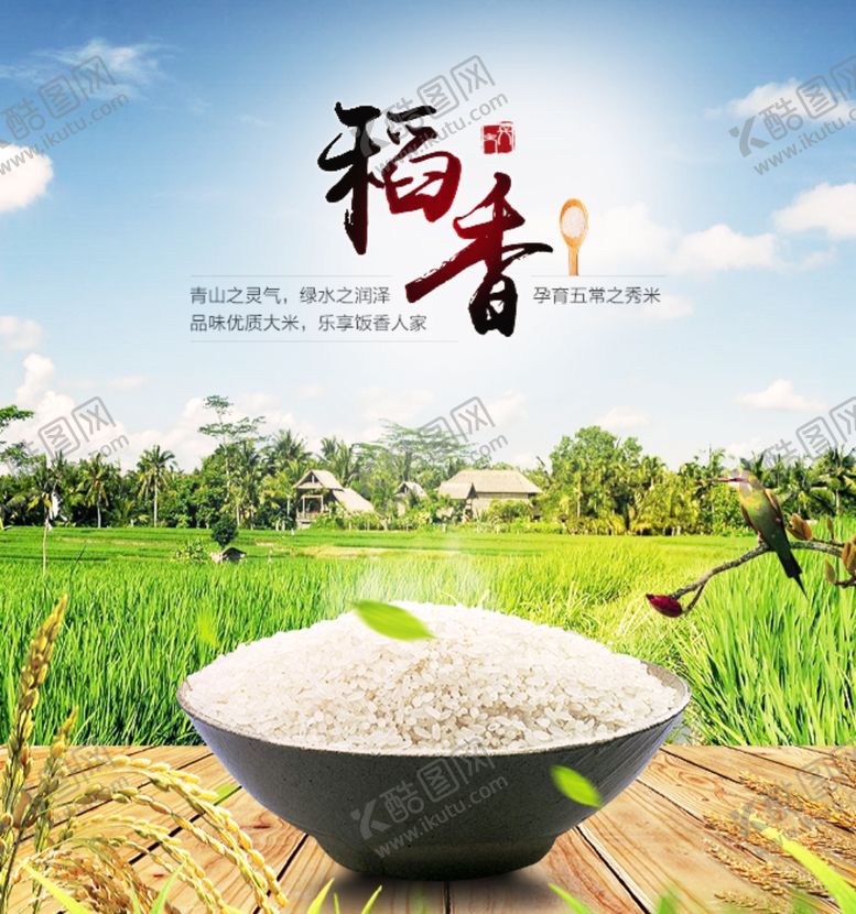 编号：55418503301059462955【酷图网】源文件下载-稻香大米宣传海报