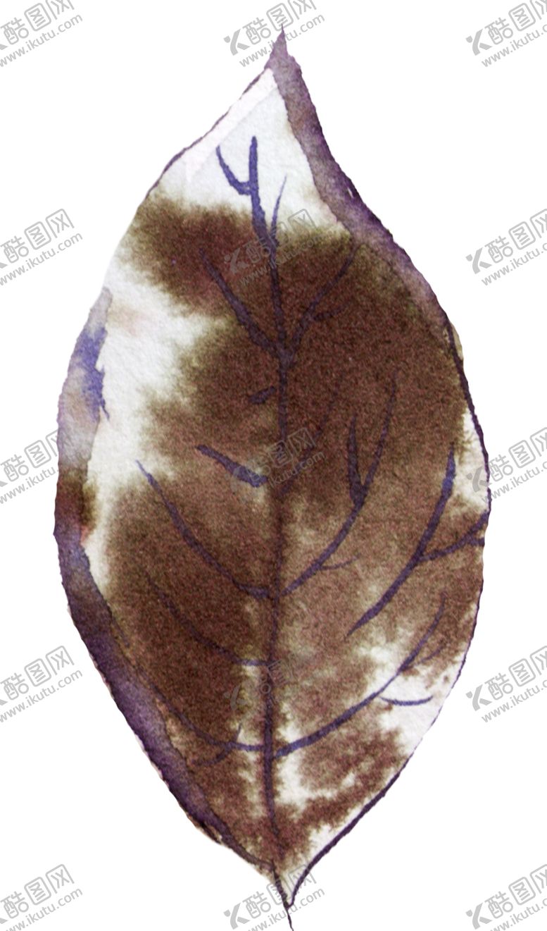 编号：71001109270521191456【酷图网】源文件下载-波西米亚风格水彩花朵