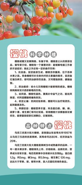 水果苹果总动员品种简介吊挂