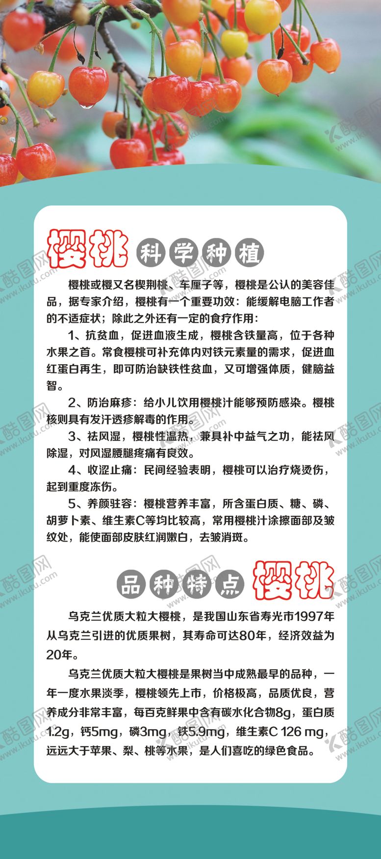 编号：93279207081603245587【酷图网】源文件下载-樱桃简介品种特点