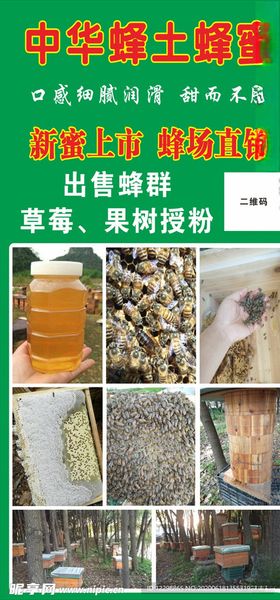 中华蜂土蜂蜜展板