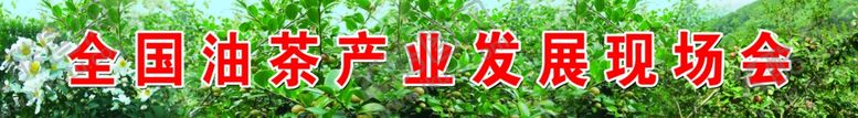 编号：28957304232057355130【酷图网】源文件下载-全国油茶产业发展大会