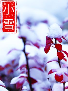 小雪