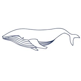 手绘海洋生物