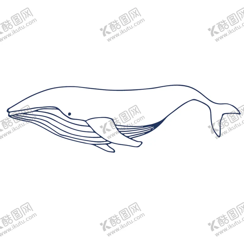 编号：41488705091518534725【酷图网】源文件下载-手绘海洋生物