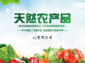 农业开发公司农产品喷绘蔬菜