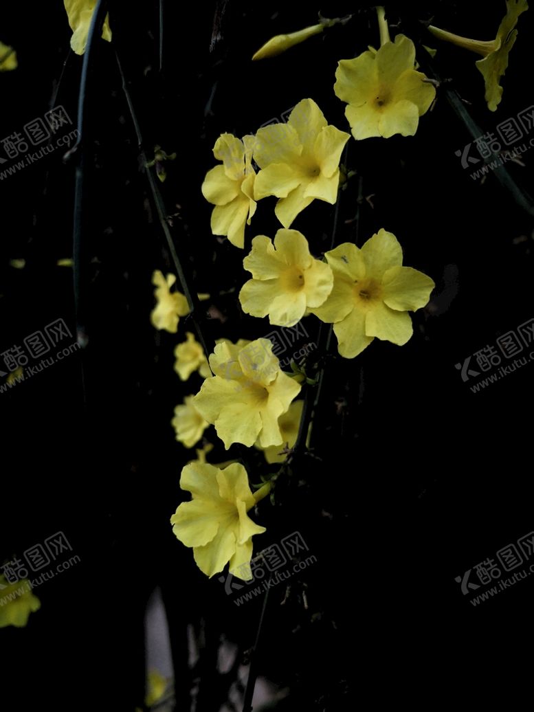 编号：92600111050112028669【酷图网】源文件下载-春来