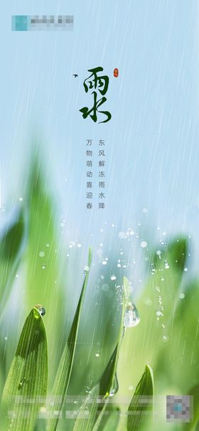 雨水节气稿