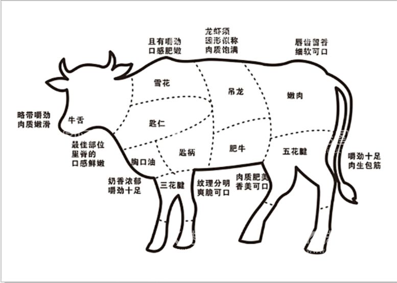 编号：47273811180122348432【酷图网】源文件下载-牛身分割图