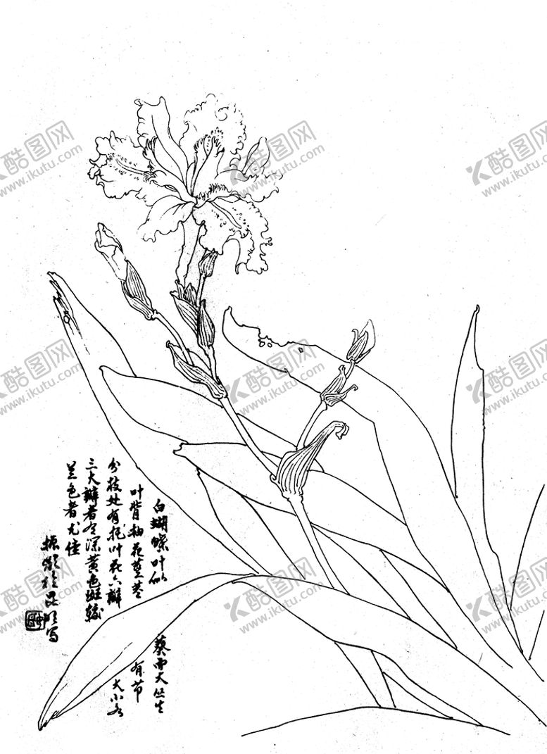 编号：96827409240622254981【酷图网】源文件下载-白蝴蝶