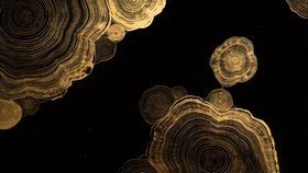 黑金抽象纹理图案背景